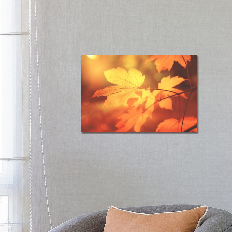 Autumn Leaves Have Arrived by Philippe Sainte-Laudy - Print on Canvas, 66.04 cm H x 45.72 cm W x 1.91 cm D, Wrapped Canvas