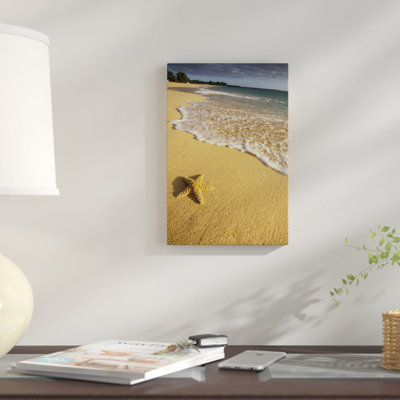 " Lone Starfish, Big Beach, Makena State Park, Maui, Hawai'i, USA " by Darrell Gulin