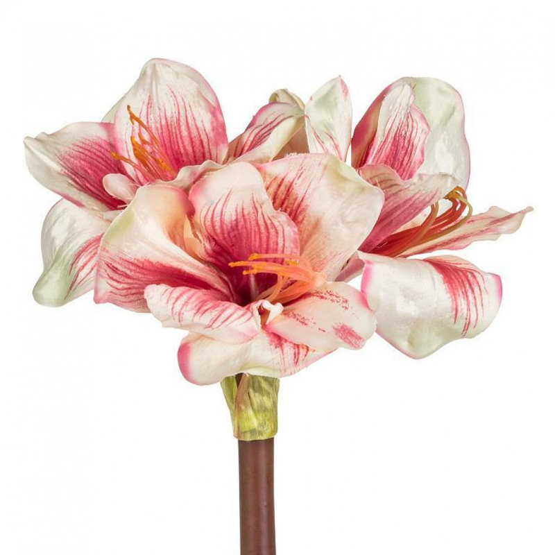 Amaryllis avec 4 fleurs artificielles, Rose