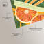 Art mural en acrylique Citrus Sneaker par Art Remedy, prêt à être accroché-2097518111