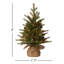 The Holiday Aisle® Nordic Spruce Tree with Clear Lights-729355652