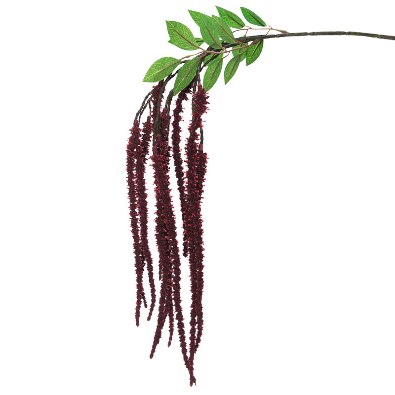 Tige de fleur d'amaranthe, Bourgogne