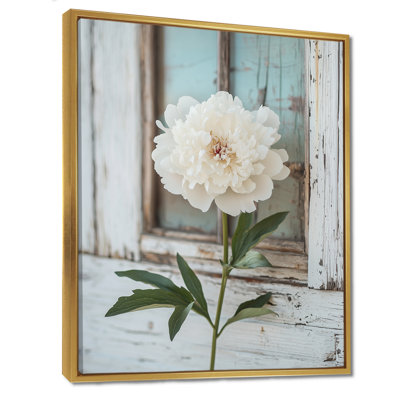 Photo pivoines par la grange laitière II - pivoines, art mural