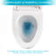 Toilette une pièce en céramique