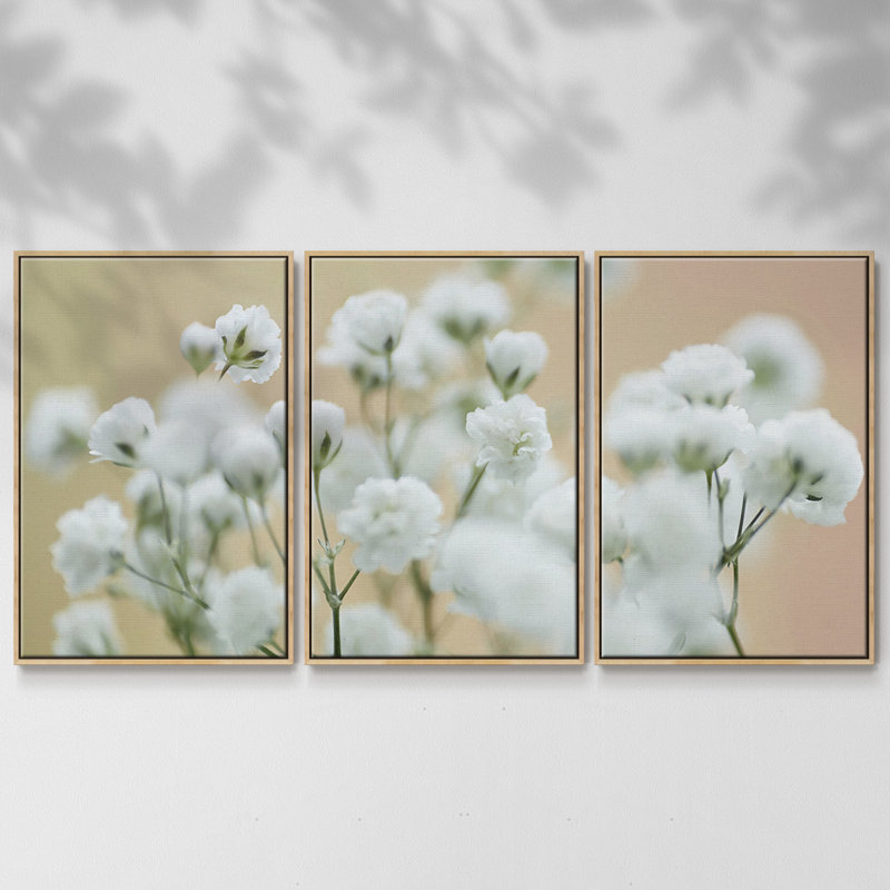 Baby's Breath Study II - Toile encadrée multi-pièces, H 24 po x l 48 po x P 2 po, Naturel