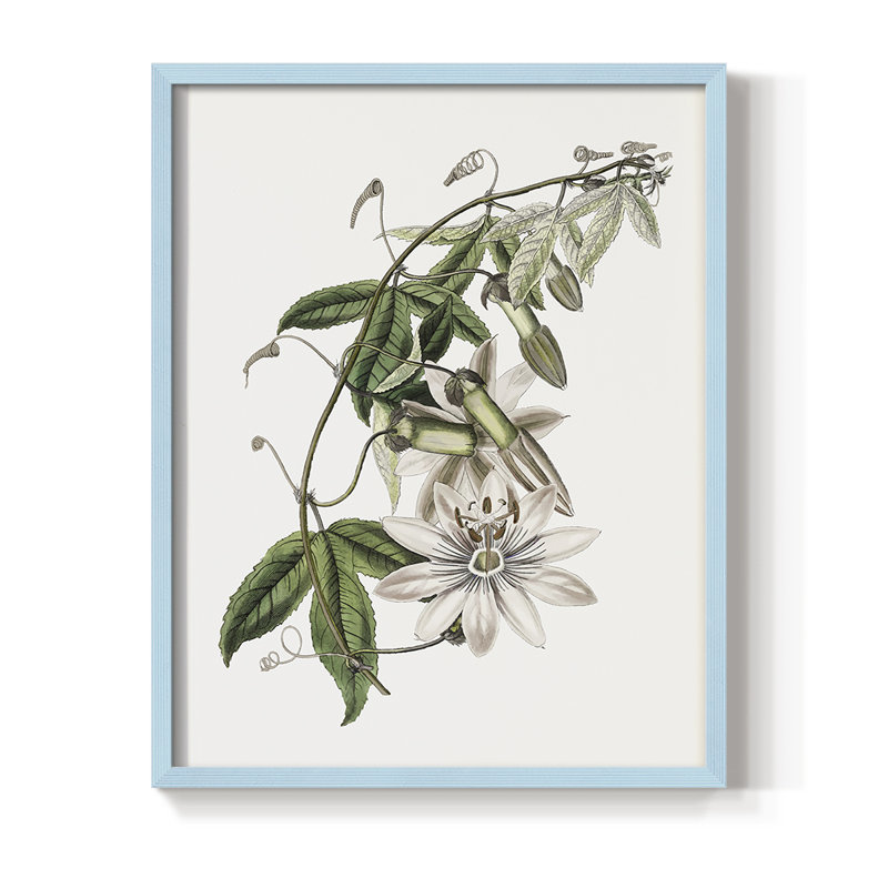 Tropical Botanical II, reproduction encadrée - bois massif, H 15 po x l 12 po, Bleu