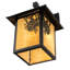 Rustic Lodge 1 - Light Outdoor Wall Lantern
