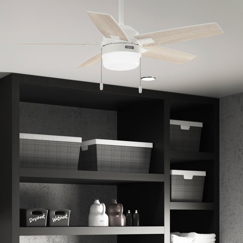 44" Anisten ENERGY STAR® 5-Blade Standard Ceiling Fan with Pull Chain and LED Light Kit Included, White, Beige