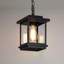 Lanterne suspendue d'extérieur Cosimo à 1 lumière, 30 cm (H) x 17 cm (L), pour endroits humides