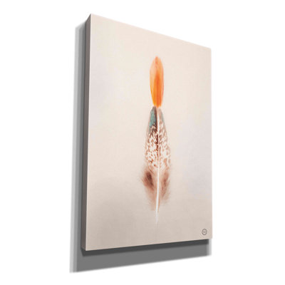 Floating Feathers I by Nathan Larson - Wrapped Canvas Photograph -  Bungalow Rose, B1822D69D8114BFCB422E3D200D3DE31