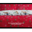 Jorden Polyester No Pattern Duvet Cover Set with Pillowcases Included-1230141825