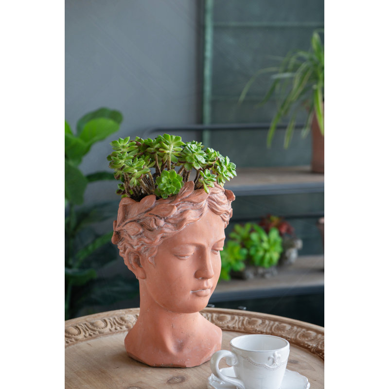 D6x9" Visage Head Bust Planter, Brown, Brown