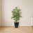 Areca Palm Artificial Tree with Black Planter-33118718-33118716