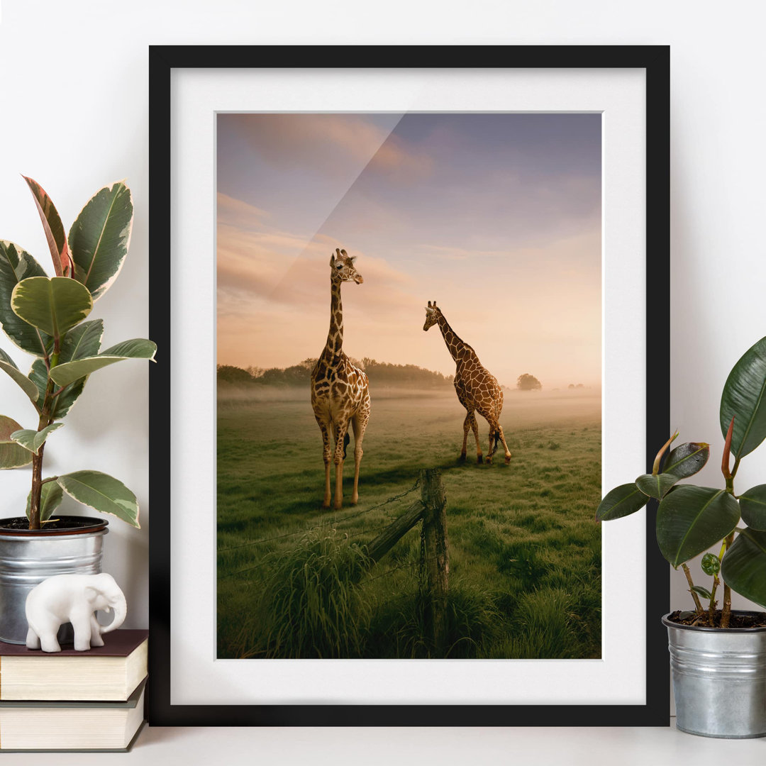 Gerahmtes Poster Surreal Giraffes