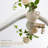 Curved White Wood Full Length Mirror