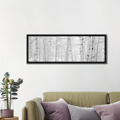 " Autumn Aspens With Snow, Colorado, USA (Black And White) II " by Panoramic Images