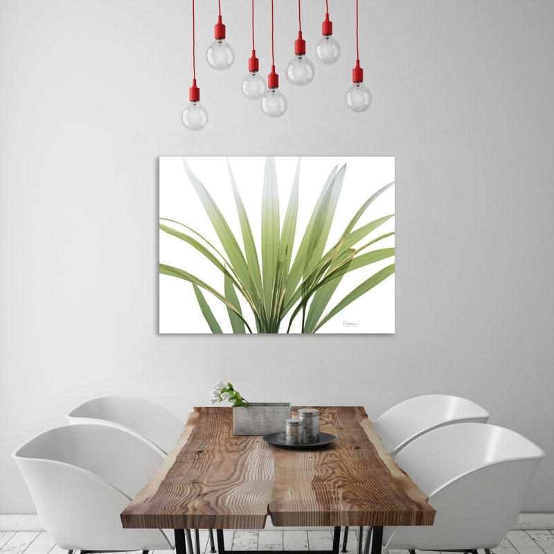 Golden Palm 1 Piece Wrapped Canvas Wall Art, 30 cm H x 41 cm W