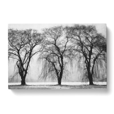 Three Trees At Winter - Wrapped Canvas