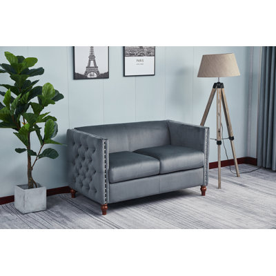 Shawn 49'' Velvet Loveseat