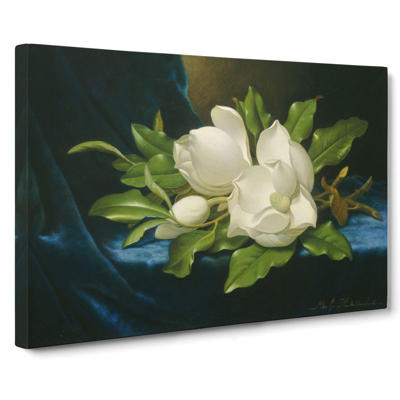 Giant Magnolias On Blue Velvet by Martin Johnson Heade - Wrapped Canvas, 35cm H x 50cm W x 3cm D