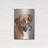 " Boxer " Print-744246820
