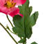 Cosmos Artificial Floral Sprays - 31" - Hot Pink - Set Of 6