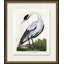 Medium White Crane - Picture Frame Painting on Paper