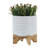 Includes plant rack flower pots