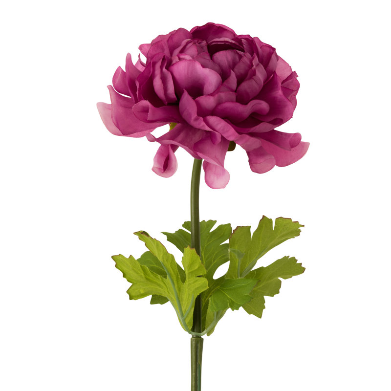 Ranunculus Arrangement, Dark Pink