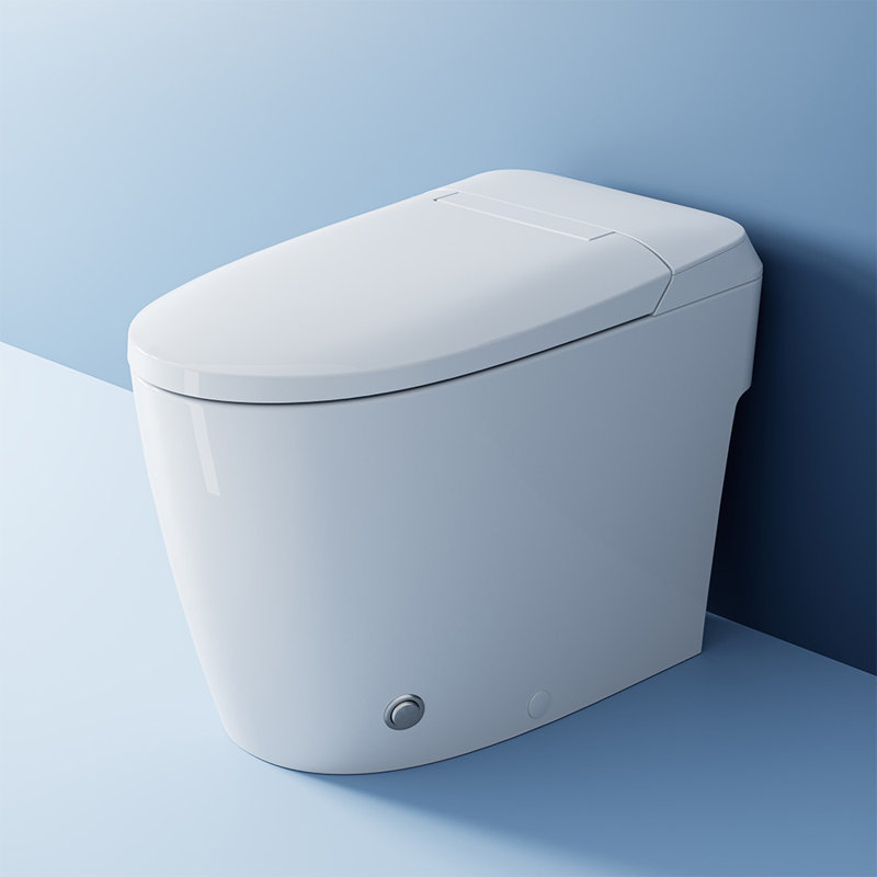  Toilette à bidet intelligente non électrique - deux buses, pompe intégrée, hauteur de chaise ADA, chasse d'eau au pied et conception économisant l'eau