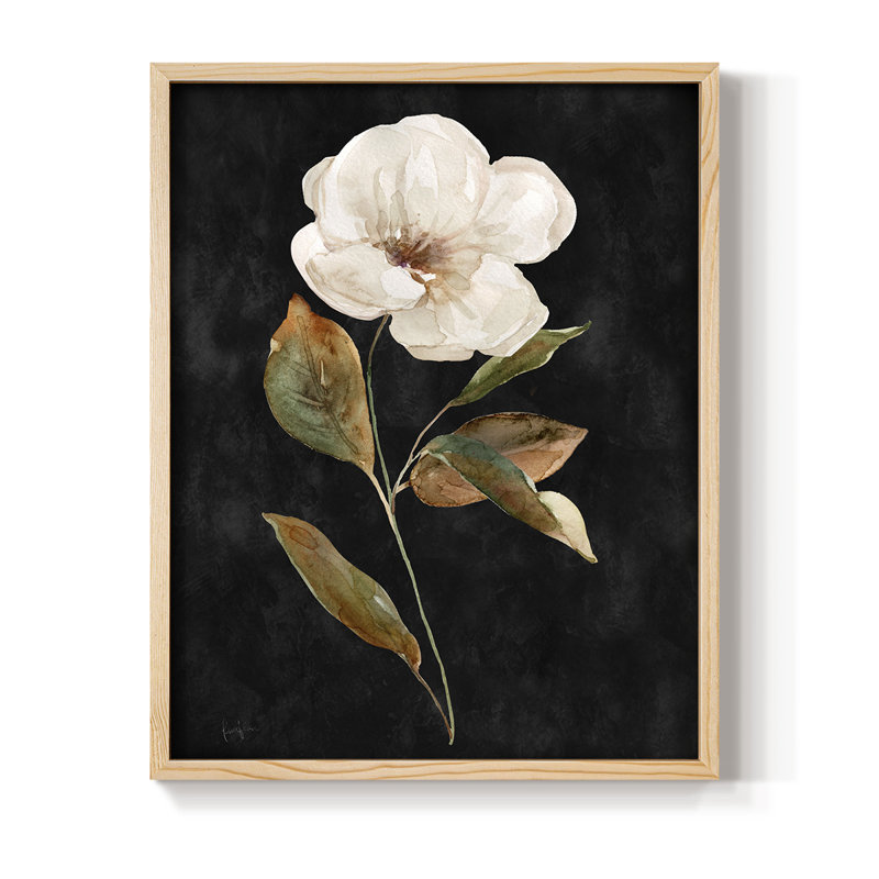 «Botanical on Black Wash I», reproduction encadrée - bois massif, H 15 po x l 12 po, Naturel