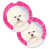 Bichon frisé