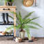 Faux Fern Plant in Pot