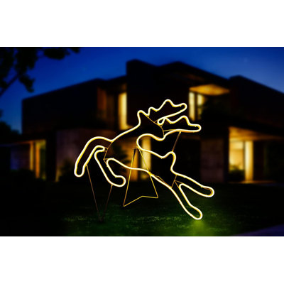 LED Indoor / Outdoor Rope Light