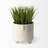 Ema Ceramic / Porcelain Table Vase