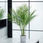 Faux palmier en pot blanc-92330803