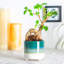 Ceramic Pot Planter-63880914