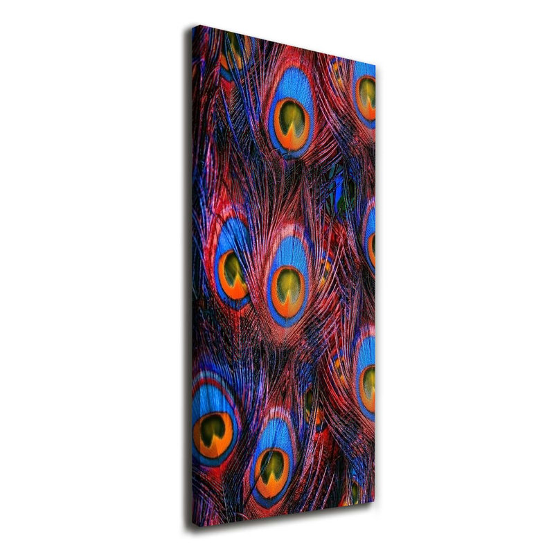 Peacock Feathers - Wrapped Canvas Print