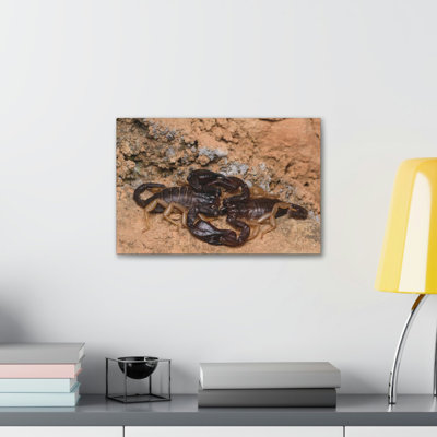 Scorpion Couple, Scorpion Couple, impression d'art mural