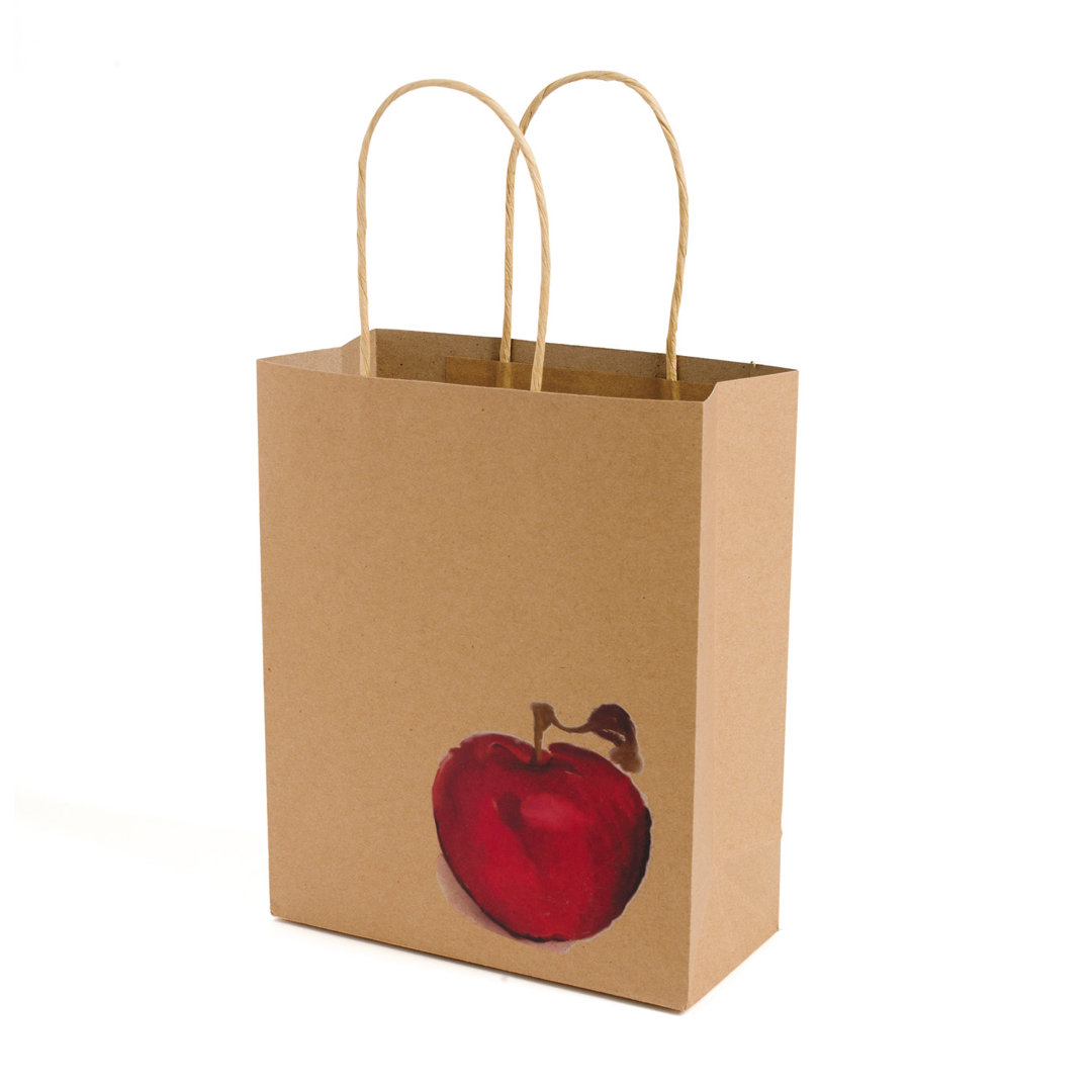 Argatha Paper Thanksgiving Gift Bags (Set of 12) The Holiday Aisle®
