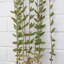 120cm Faux Foliage Plant