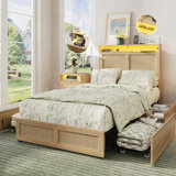 Platform Storage Bed