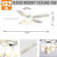 Aelisa 132cm Ceiling Fan with Light Kit