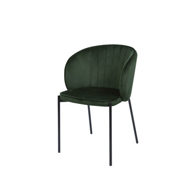 Ronquillo Velvet Upholstered Metal Side Chair