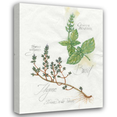 Ophelia & Co., Della, Piana, Elissa, art sur toile tendue avec châssis: basilic et thym
