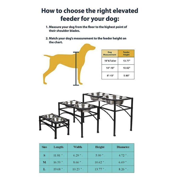 Dazone Dogs Elevated Feeder & Reviews