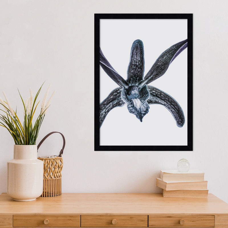 Reproduction d'art encadrée Parkerfield Orchid par Shot par Clint Wood, H 21 po x l 15 po, Noir