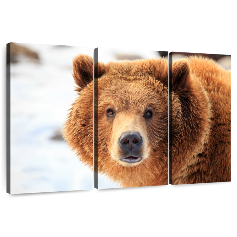 Grizzly Bear Stare, 32" H x 50" W