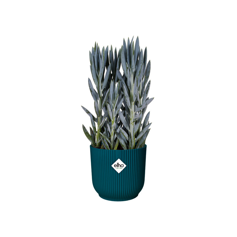 Plastic Indoor Pot Planter, 32.4cm H x 34.9cm W x 34.9cm D, Deep Blue