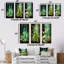 Green Bottled Melody-915689030-915689025